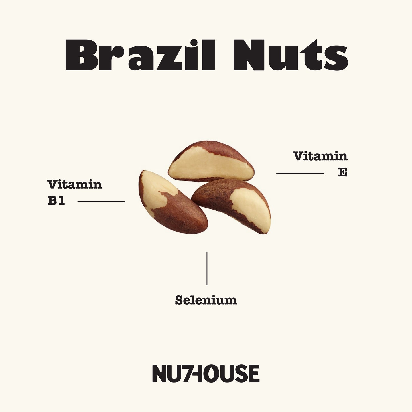 Raw Brazil Nuts